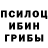 ГАШ ice o lator bearded spearo
