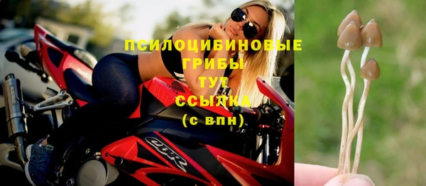mdpv Бугульма