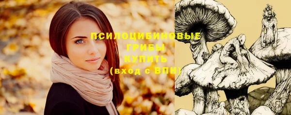 винт Бронницы