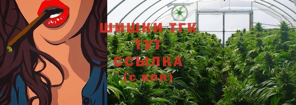 винт Бронницы