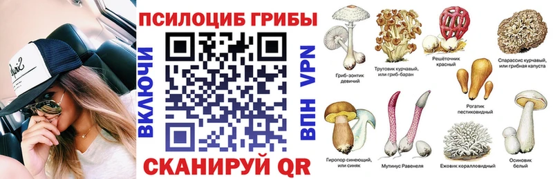 Псилоцибиновые грибы GOLDEN TEACHER  купить наркотики сайты  Подольск 